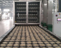 河南自熟粉絲機廠家哪家好？自熟粉絲機多少錢一臺？